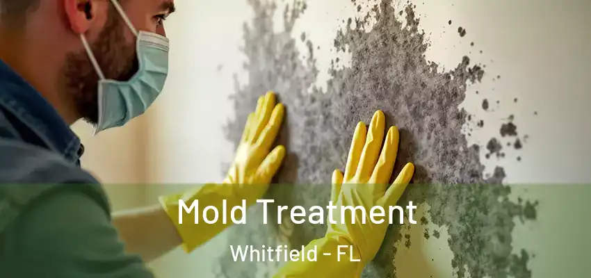  Mold Treatment Whitfield - FL