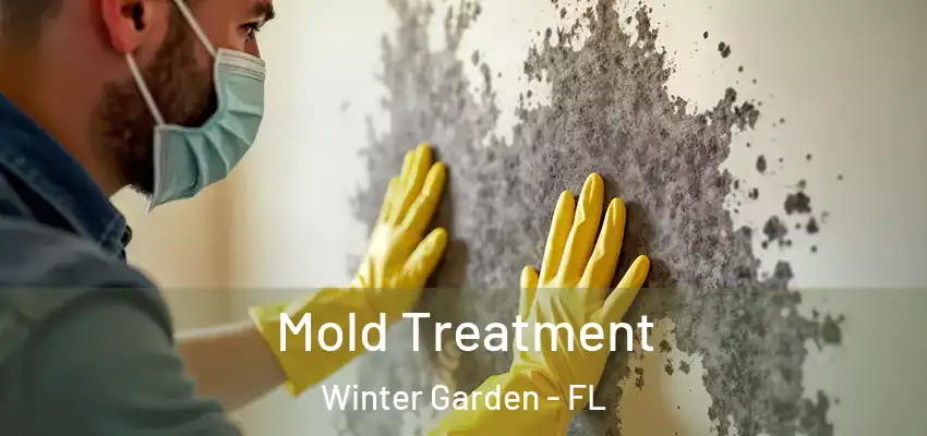  Mold Treatment Winter Garden - FL