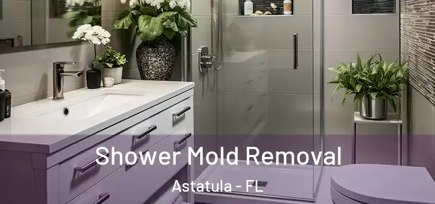  Shower Mold Removal Astatula - FL