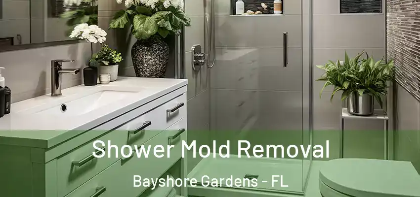  Shower Mold Removal Bayshore Gardens - FL