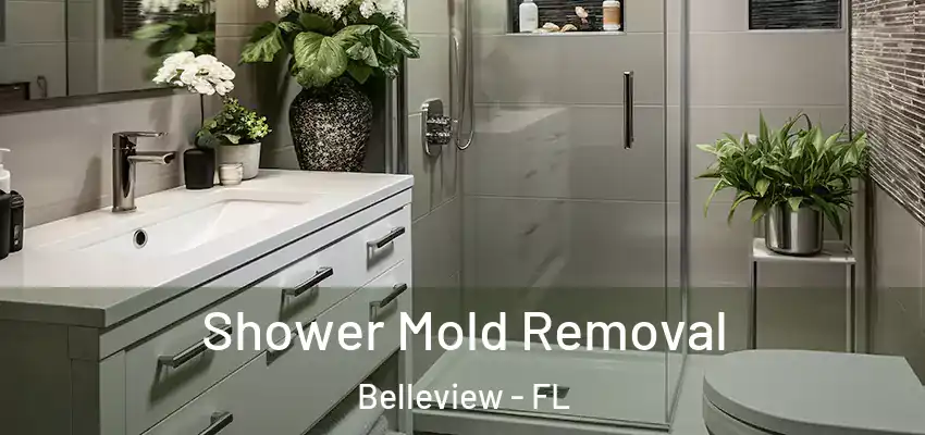 Shower Mold Removal Belleview - FL