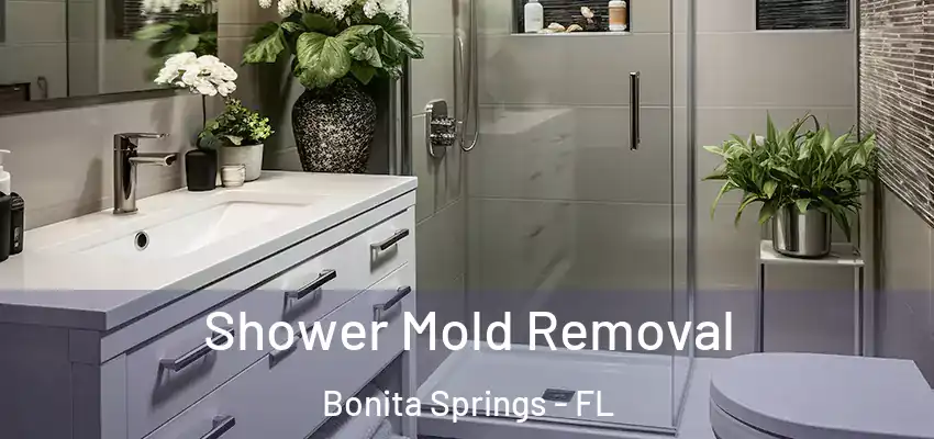  Shower Mold Removal Bonita Springs - FL
