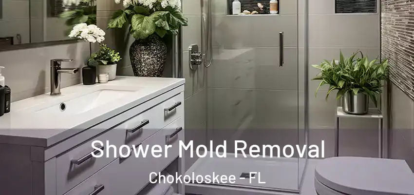  Shower Mold Removal Chokoloskee - FL