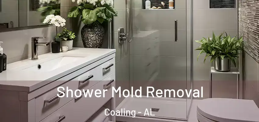  Shower Mold Removal Coaling - AL