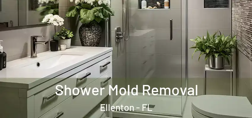  Shower Mold Removal Ellenton - FL