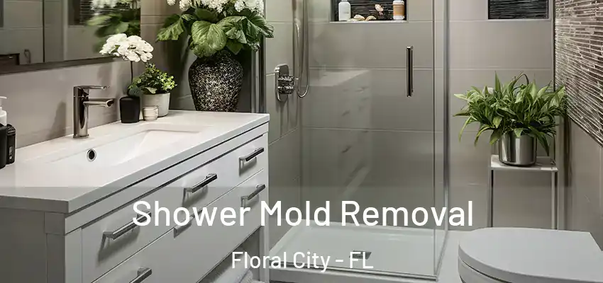  Shower Mold Removal Floral City - FL