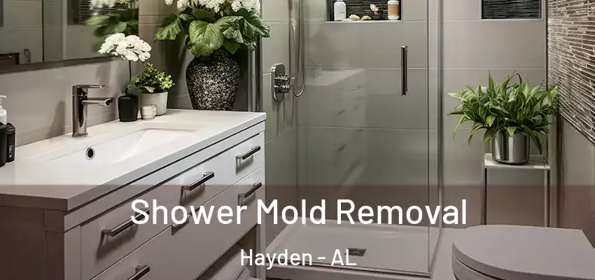 Shower Mold Removal Hayden - AL