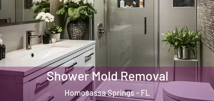  Shower Mold Removal Homosassa Springs - FL