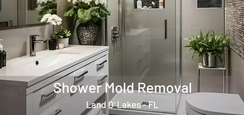  Shower Mold Removal Land O' Lakes - FL
