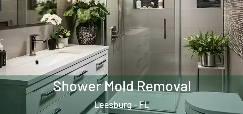 Shower Mold Removal Leesburg - FL