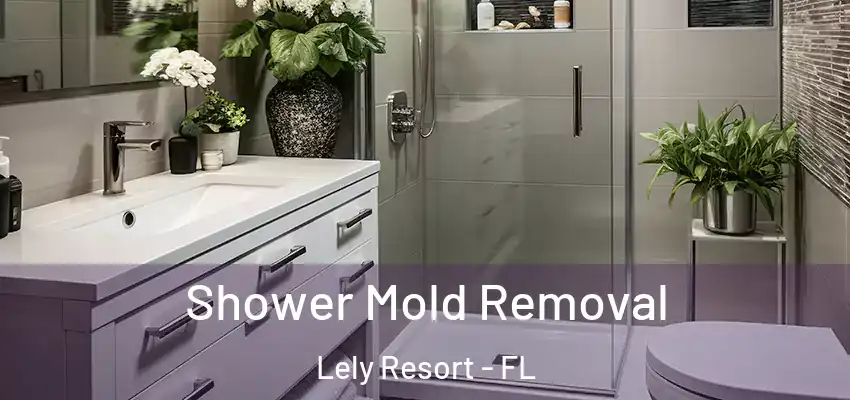  Shower Mold Removal Lely Resort - FL