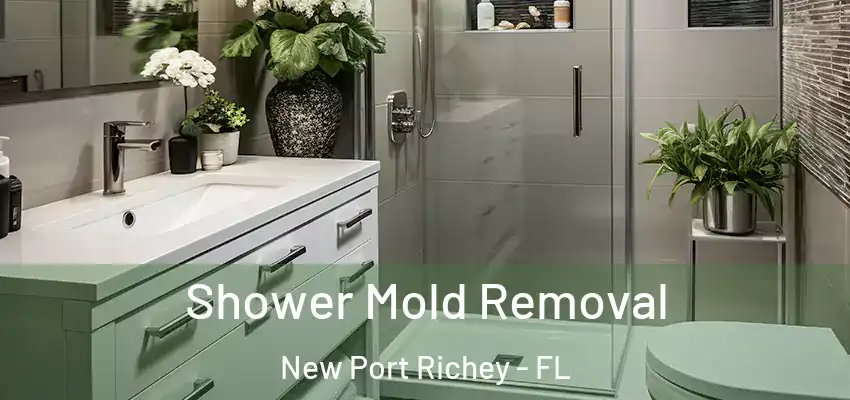  Shower Mold Removal New Port Richey - FL