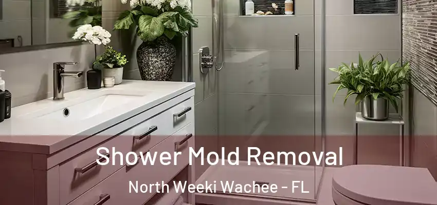  Shower Mold Removal North Weeki Wachee - FL