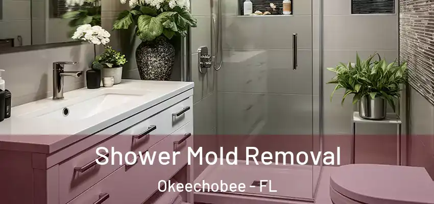  Shower Mold Removal Okeechobee - FL