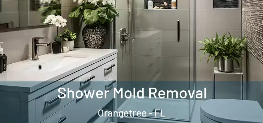  Shower Mold Removal Orangetree - FL