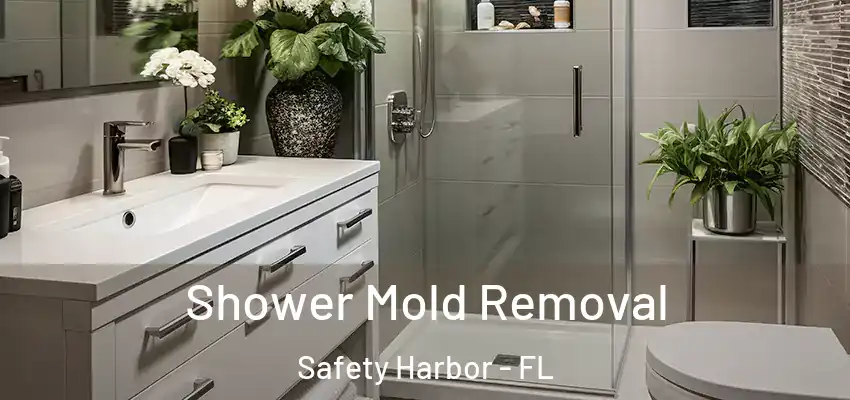  Shower Mold Removal Safety Harbor - FL