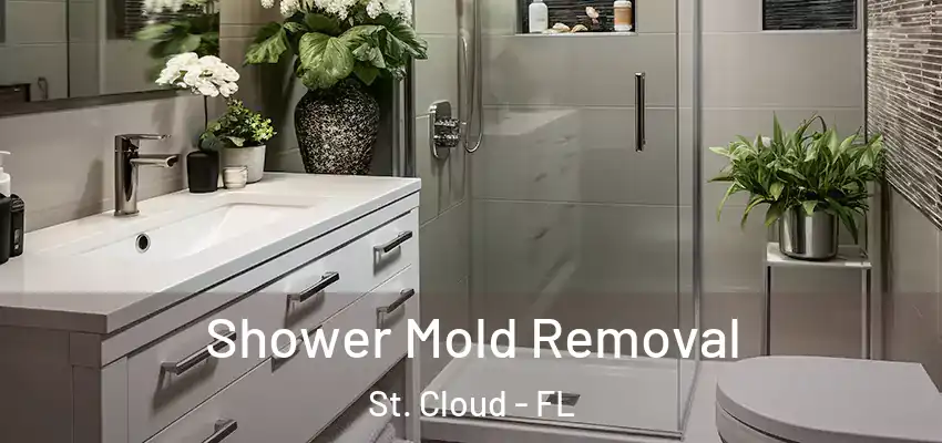  Shower Mold Removal St. Cloud - FL