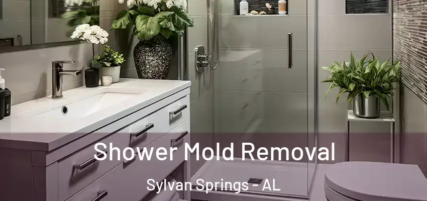  Shower Mold Removal Sylvan Springs - AL