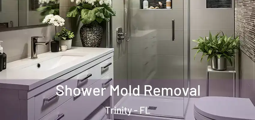  Shower Mold Removal Trinity - FL