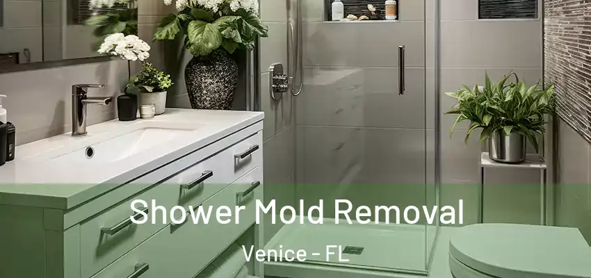 Shower Mold Removal Venice - FL