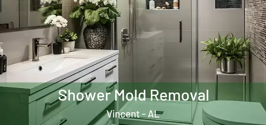  Shower Mold Removal Vincent - AL