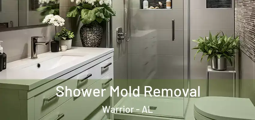 Shower Mold Removal Warrior - AL