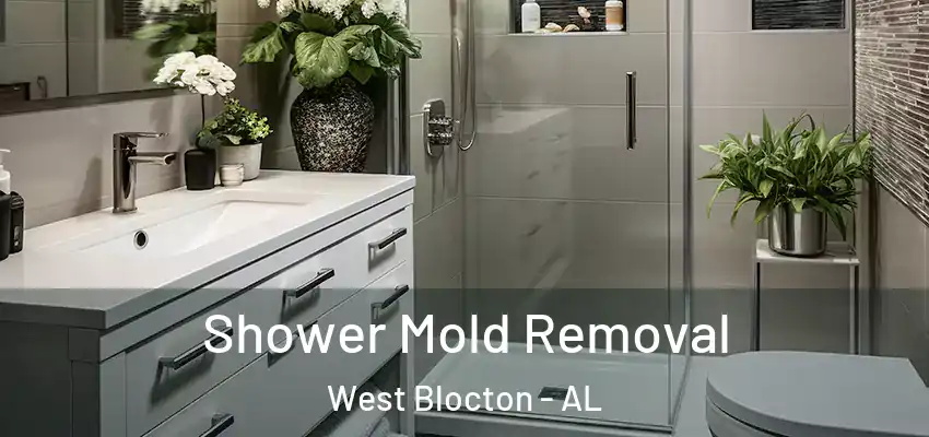  Shower Mold Removal West Blocton - AL