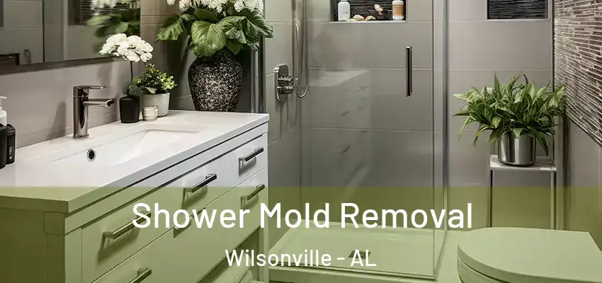 Shower Mold Removal Wilsonville - AL