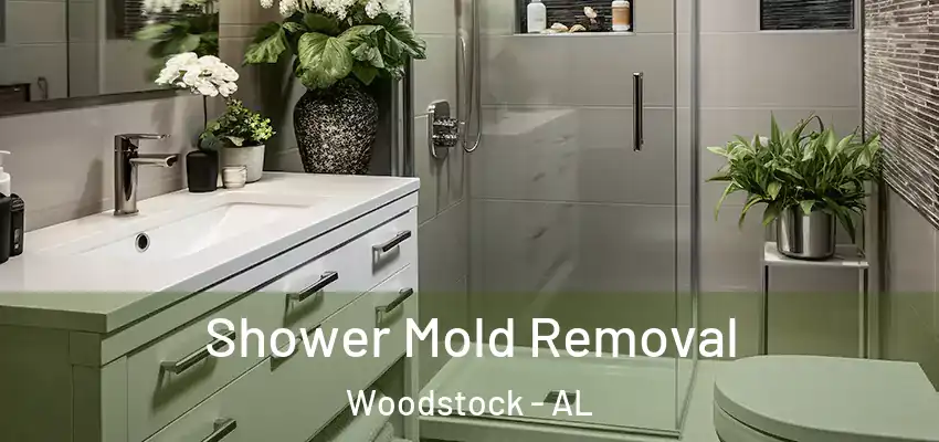  Shower Mold Removal Woodstock - AL