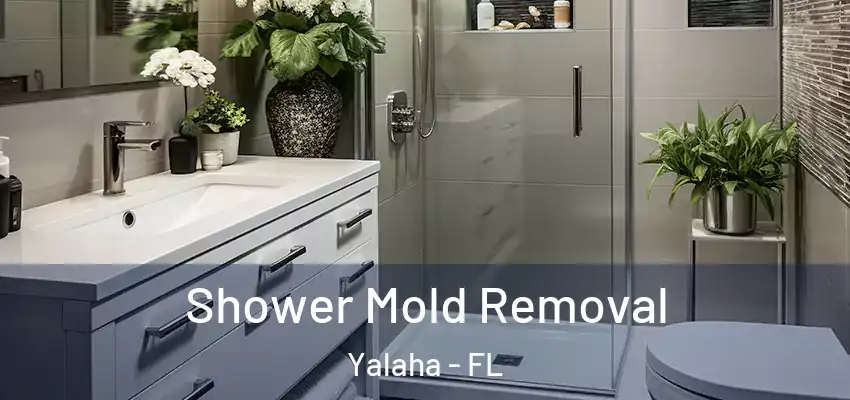  Shower Mold Removal Yalaha - FL